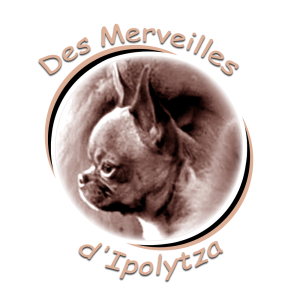 Logo sur fond crème