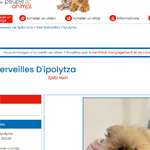 Site sur Eleveurs online